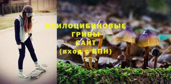 бутират Беломорск