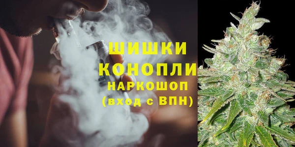 mix Белокуриха