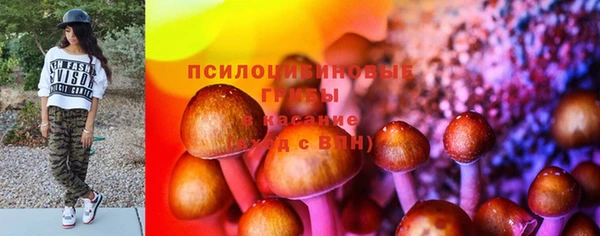 mix Белокуриха